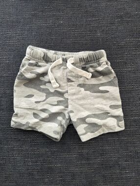 Carters Shorts 18m